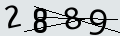 verifycode